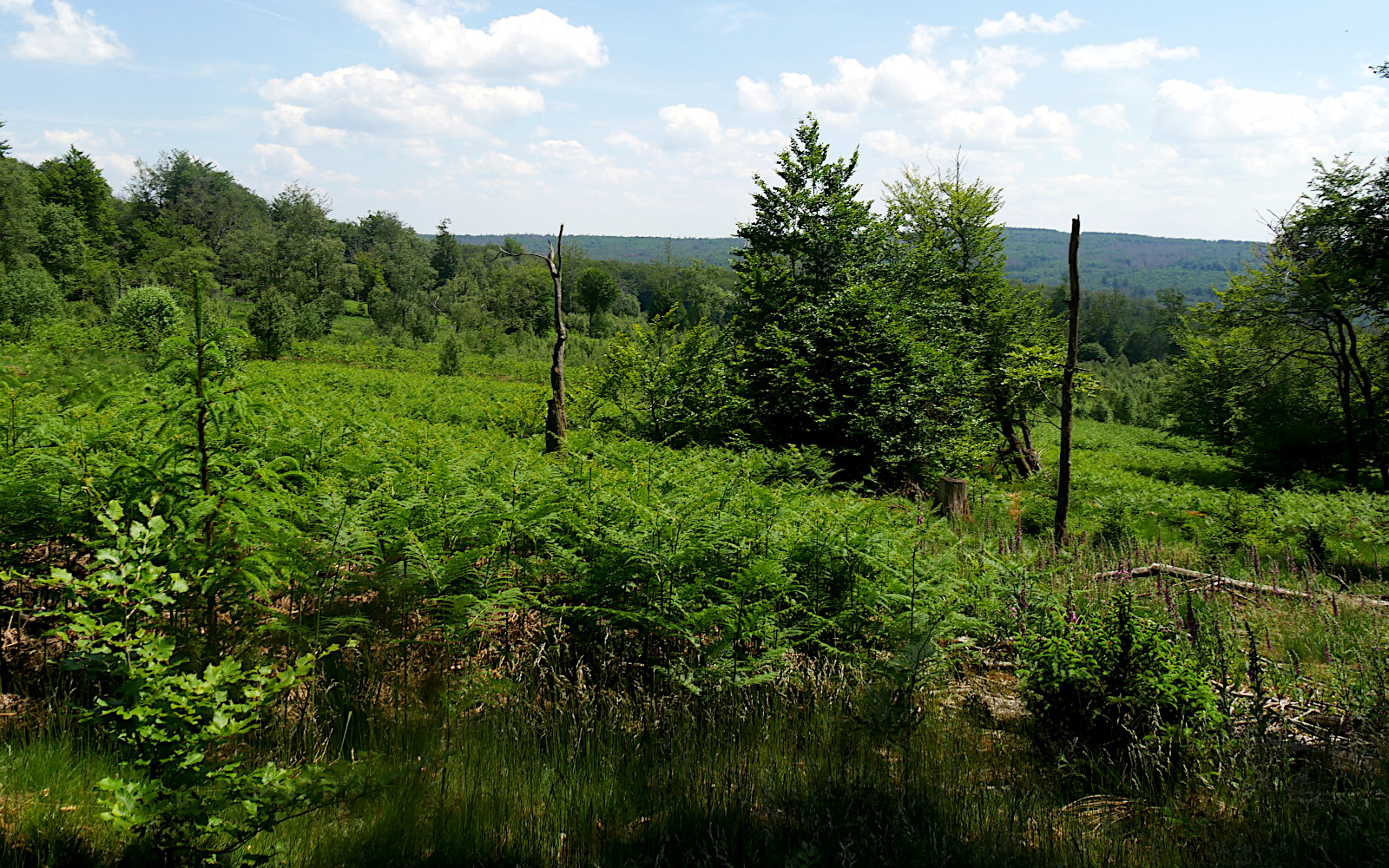 Title image LO.2025.1140