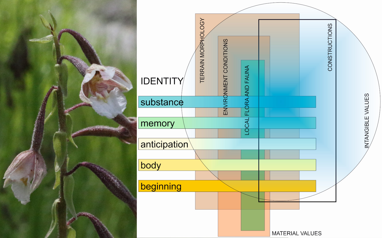 Title image LO.2025.1142