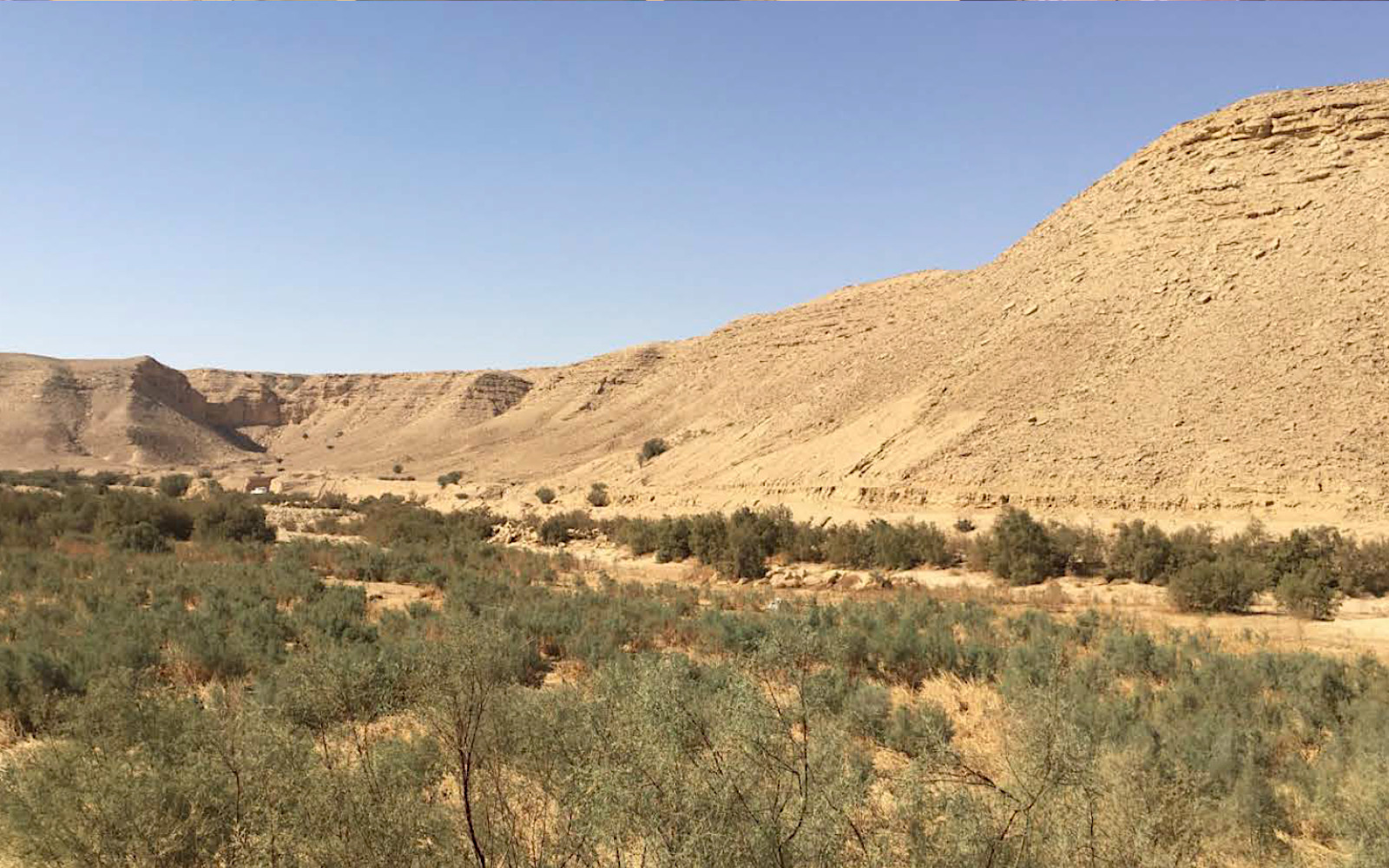 Title image LO.2026.1147